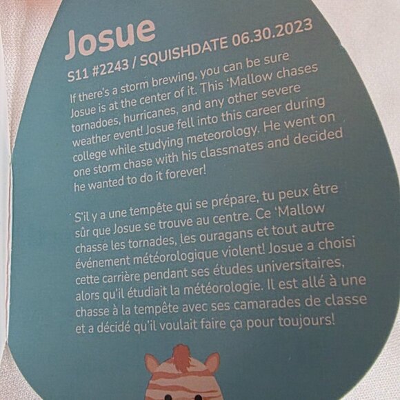 Josue the Zebra Squishmallow - Picture 3 of 4